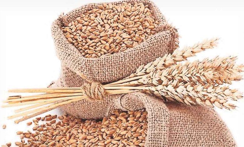 Wheat prices rise till March
