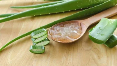 Here are the amazing benefits of aloe vera gel for hair styling