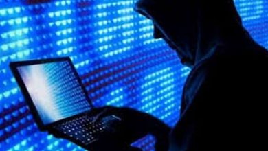 increase in cyber crimes; 4000 crimes reported in 11 months