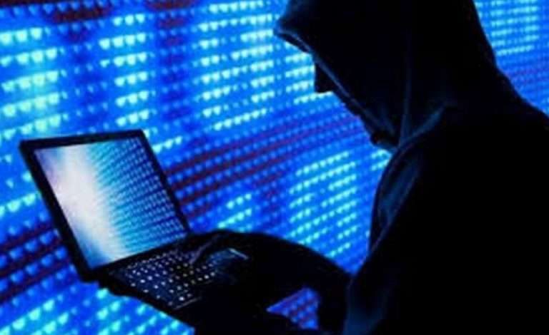 increase in cyber crimes; 4000 crimes reported in 11 months