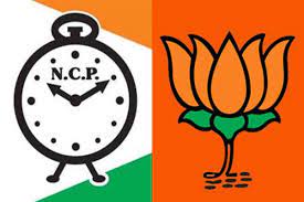 Politics: 'Slap' to NCP's delusional 'BJP will split'