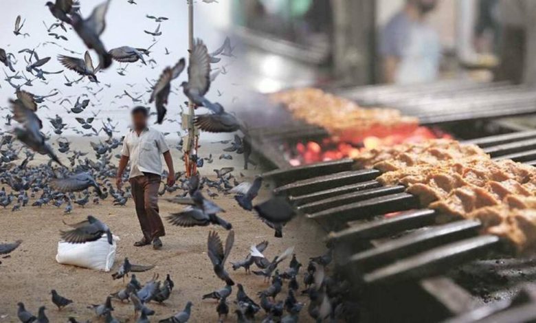 Pigeon meat was sold as chicken to hotels; case registered against eight persons