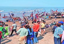 Beaches in Raigad district are ready to welcome the New Year