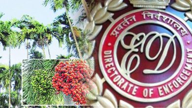 ED raids on betel nut traders in Nagpur