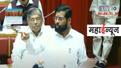 Surjagad project is the only reason why Naxalites are upset: Chief Minister Eknath Shinde