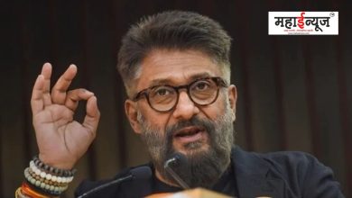 Vivek Agnihotri's comments on the movie 'Pathan'
