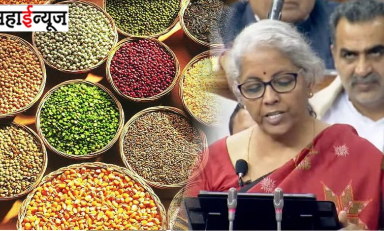 Budget 2023: What is Finance Minister Nirmala Sitharaman's 'Srianna'?