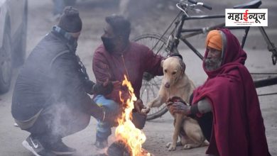 Maharashtra will be covered again, the force of cold will increase