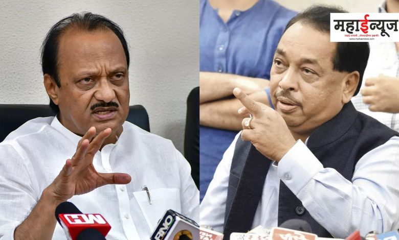 Narayan Rane said that don't apply to our nadi, he will come to Pune and play twelve