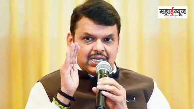 Devendra Fadnavis said that the central budget is largely for the middle class