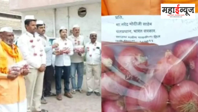 Angry farmers, Prime Minister Narendra Modi, Onions sent by post, Onion necklaces, Gandhigiri of farmers,