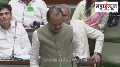 Cabinet of the state, inclusion of Punekars, misfortune of Punekars, opposition leader, Ajit Pawar,