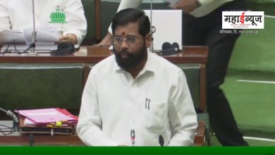 Eknath Shinde said that a subsidy of Rs 300 per quintal will be given to onion