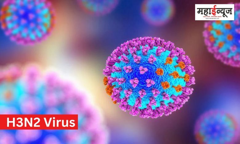 22 patients of H3N2 virus found in Pune