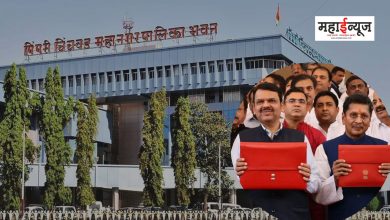Disappointment on the part of Pune and Pimpri-Chinchwadkar in the budget