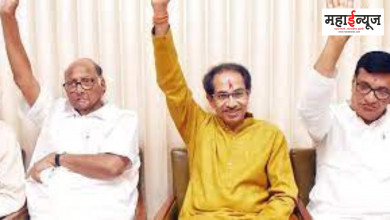 Elections, Grand Alliance, Sharad Pawar, Statements, Allies, Anxiety Raised,