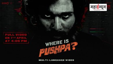 Allu Arjun's 'Pushpa 2' Teaser Released