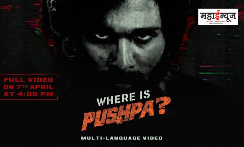 Allu Arjun's 'Pushpa 2' Teaser Released