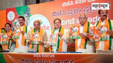 BJP released its manifesto for the Karnataka assembly elections