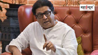 Raj Thackeray said that the country cannot afford such decisions