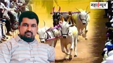Organization will take strong stand against malpractices in bullock cart race: Sandeep Bodge