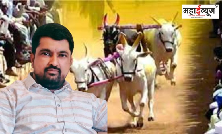 Organization will take strong stand against malpractices in bullock cart race: Sandeep Bodge