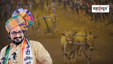 Amol Kolhe said that preparations have started to make a film on bullock cart race