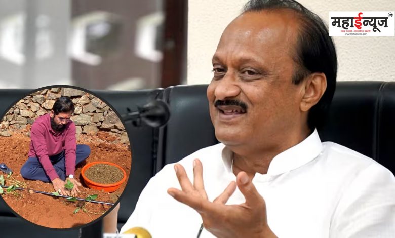 Ajit Pawar said whether agriculture is done by looking at strawberries