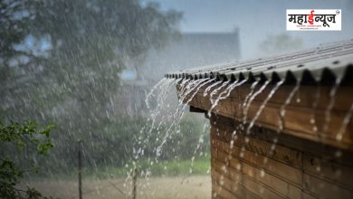 Unseasonal rain crisis, alert issued in Pune