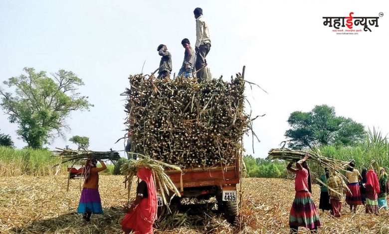 34 crore fraud of farmers through lawsuits