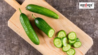 Cucumber is beneficial in hot summer