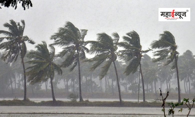 Monsoon has arrived in Kerala, information from the Meteorological Department