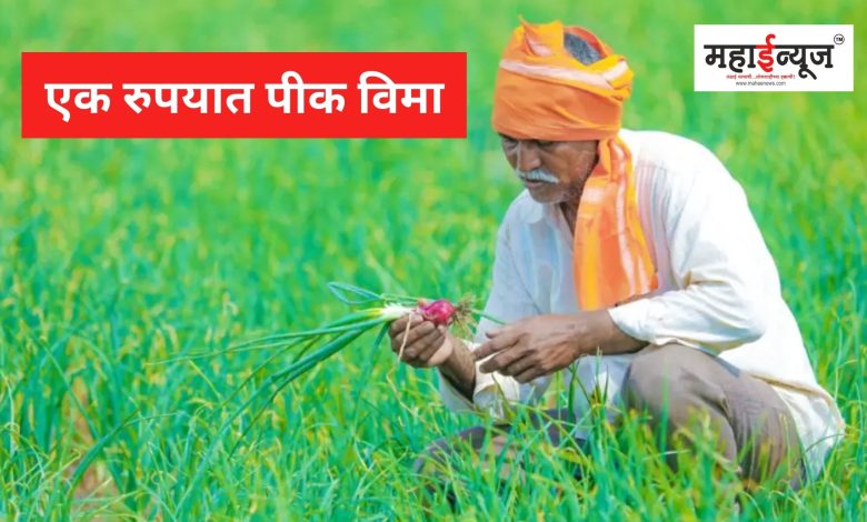 An appeal to take advantage of one rupee crop insurance scheme