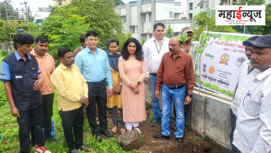 By Assistant Commissioner, Anna Bodde, Plantation of trees in the slum area of Moshi.