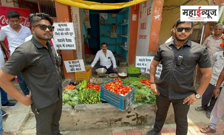 Two bouncers are deployed for the safety of tomatoes