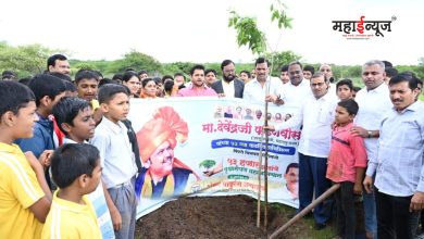 On the occasion of the 53rd birthday of Deputy Chief Minister Devendra Fadnavis, as many as 53 thousand tree plantation campaign