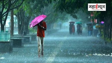 Yellow alert of rain today for 19 districts of the state including Konkan
