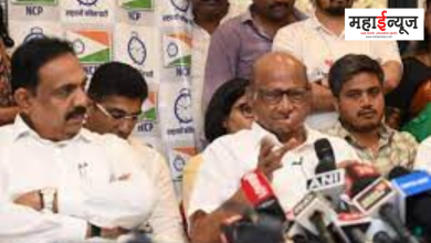 NCP, with 45 out of 53, Sharad Pawar, sir, including Marathwada, the whole of Maharashtra, the face of the party,