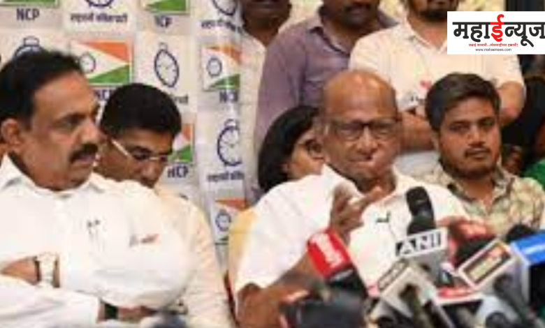 NCP, with 45 out of 53, Sharad Pawar, sir, including Marathwada, the whole of Maharashtra, the face of the party,