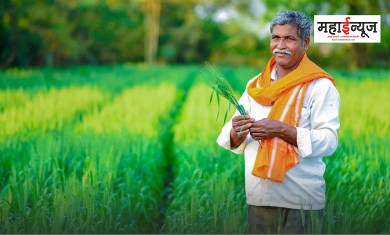 210 crore 30 lakh rupees disbursed for 3 lakh farmers who have done e-KYC