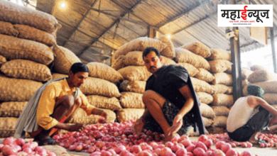 Tomato, now onion will cry, the country's largest, wholesale market, Lasalgaon, by 48 percent, prices increased, Nashik,