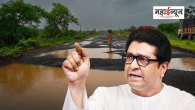 Raj Thackeray said to plant trees in potholes on the road