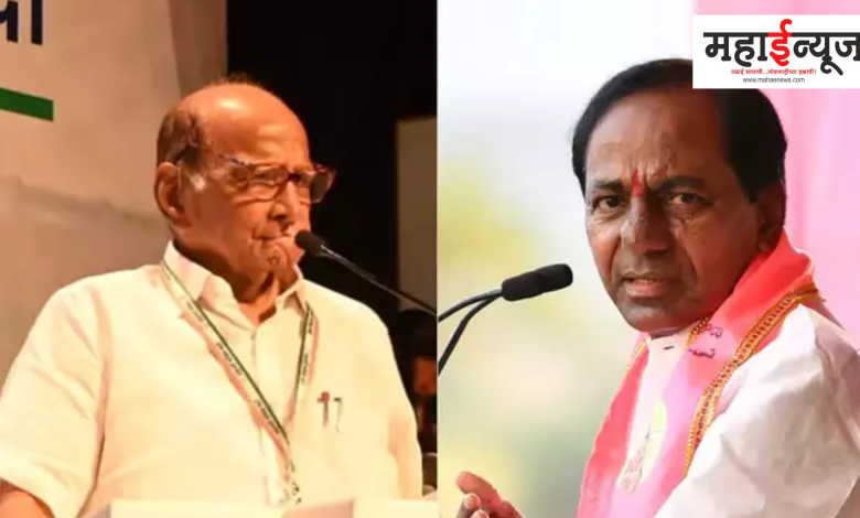 Sharad Pawar mad, Telangana, Chief Minister, KCR, Nationalist, about chiefs, rude, criticism in language,