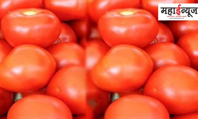 Tomato, big drop in price, Karnataka, Tomato, Rs 20 per kg,