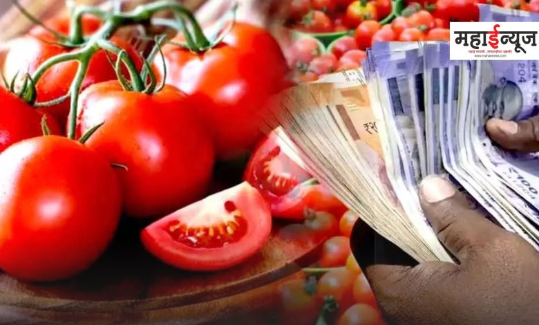 Tomatoes are likely to go up to Rs 300 per kg in the country