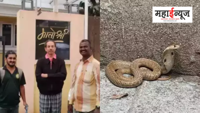A 4 feet long snake was found at Uddhav Thackeray's Matoshree residence.