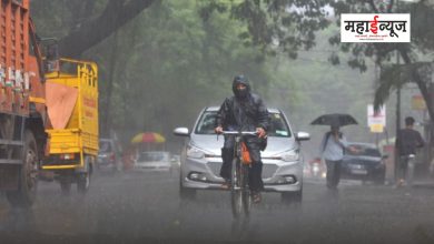 Yellow alert of rain for 'these' districts of the state
