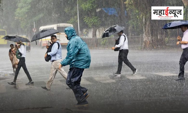 Heavy rain in the state today, yellow alert for rain in 'these' 6 districts