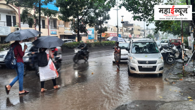 In Pune, Pimpri-, Chinchwad, district, 5 days, heavy, rain likely,