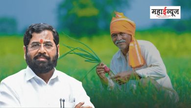 300 crore subsidy will be distributed to three lakh onion producing farmers